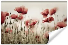 fototapeta-do-salonu-czerwone-maki-pole-3d-400x280