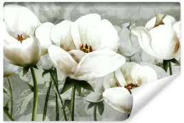 fototapeta-biale-tulipany-malunek-ozdoba-450x300