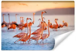 fototapeta-stado-flamingow-nad-woda-natura-400x280