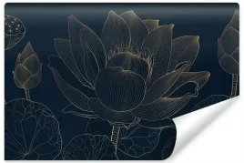 fototapeta-kwiat-lotosu-line-art-liscie-3d-450x300