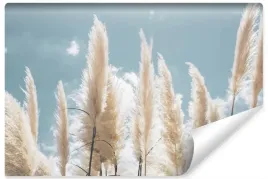 fototapeta-trawa-pampasowa-niebo-chmury-3d-450x300