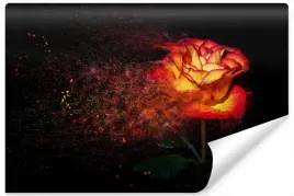 fototapeta-abstrakcyjna-roza-czarne-tlo-3d-450x300