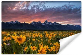 fototapeta-zachod-slonca-zolte-kwiaty-3d-400x280