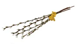 bukiecik-bazie-vj4779