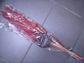 bukiet-susz-kwiatowy-fh9201