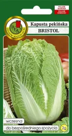 kapusta-pekinska-bristol-2g-nasiona