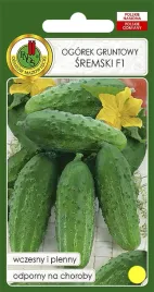 ogorek-gruntowy-sremski-f1-5g-nasiona