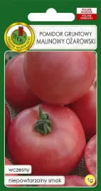 pomidor-gruntowy-malinowy-ozarowski-1g-nasiona