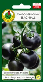 pomidor-gruntowy-blackball-02g-nasiona