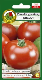 pomidor-gruntowy-gigant-1g-nasiona