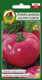 pomidor-gruntowy-malinowy-olbrzym-1g-nasiona