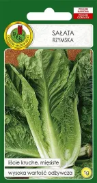 salata-rzymska-lentissimaa-montare-3-1g-nasiona