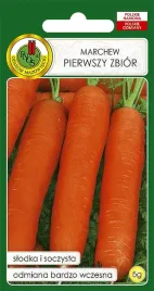marchew-jadalna-pierwszy-zbior-5g-nasiona