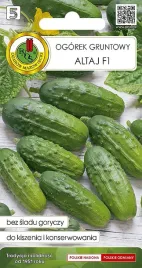 ogorek-gruntowy-lokata-f-5g-nasiona