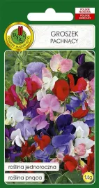 groszek-pachnacy-mieszany-3g-nasiona-piekne-kwiaty