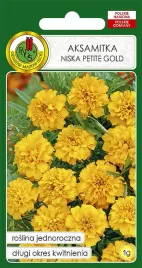 aksamitka-pelna-niska-petite-gold-zlocistozolta-1g-nasiona-piekne-kwiaty