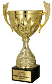 genialny-metalowy-zloty-puchar-na-uroczystosc-21-cm-grawer-gratis