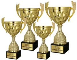 komplet-olsniewajacych-zlotych-pucharow-od-35-cm-do-21-cm-grawerki-gratis
