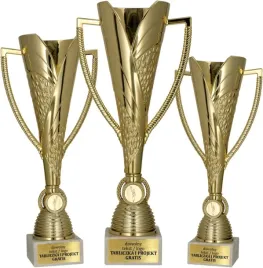 piekny-komplet-zdobionych-zlotych-pucharow-personalizacja-gratis