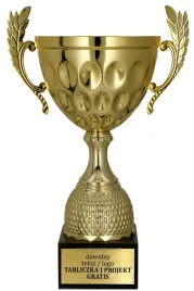 prestizowy-zloty-puchar-29-cm-personalizacja-gratis