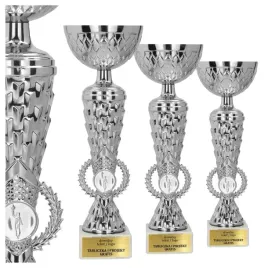 komplet-srebrnych-pucharow-3-szt-34-32-29-cm-grawerki-gratis