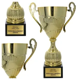 zloty-puchar-metalowy-25-cm-personalizacja-gratis