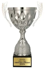 ekskluzywny-srebrny-puchar-29-cm-personalizacja-gratis