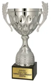 elegancki-metalowy-srebrny-puchar-na-kamieniu-26-cm-grawer-gratis