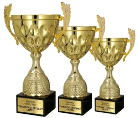 komplet-zlotych-pucharow-na-zawody-i-uroczystosci-personalizacja-gratis
