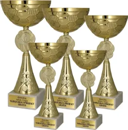 komplet-zlotych-pucharow-5-szt-29-27-25-23-21-cm-personalizacja-gratis