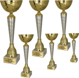 komplet-pucharow-zloto-srebrnych-40-38-35-33-32-30cm-grawerki-gratis