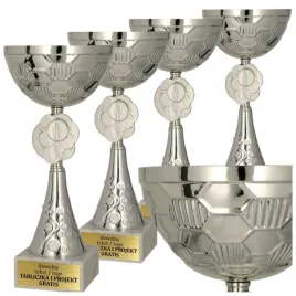 turniejowy-komplet-srebrnych-pucharow-4-szt-29-26-23-20-cm-grawerki