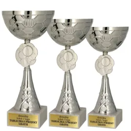 komplet-srebrnych-pucharow-3-szt-29-25-21-cm-grawerki-trofeum-sportowe