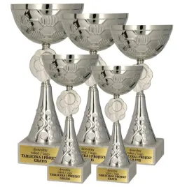 komplet-srebrnych-pucharow-5-szt-29-27-25-23-21-cm-personalizacja-gratis