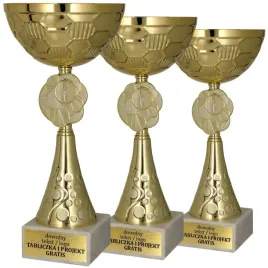 komplet-zlotych-pucharow-3-szt-29-25-21-cm-grawerki-trofeum-sportowe