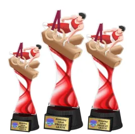 3szt-komplet-statuetek-z-akrylu-nadruk-kolorowy-25-23-19cm-gimnastyka-meska