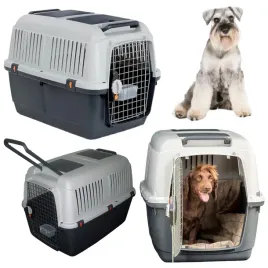 transporter-dla-psa-sredniego-sznaucer-beagle-bracco-rozm-4-70x50x51cm-iata