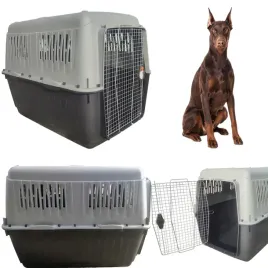 transporter-dla-psa-nowofunland-bernenczyk-bracco-rozm-8-118x81x88cm-iata