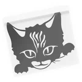 naklejka-kot-w-samochodzie-kot-na-auto-laptop-pupil-kociak