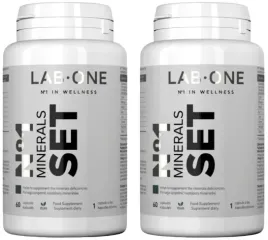 lab-one-minerals-set-120k-mumio-shilajit-mineraly