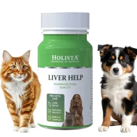 holista-liver-help-90-tabletek-wsparcie-watroby