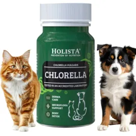 holista-chlorella-90-tabletek-detoks