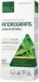 medica-herbs-andrographis-paniculata-borelioza