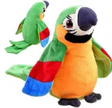 interaktywna-gadajaca-papuga-tanczy-przedrzezniacz