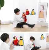 interaktywna-gadajaca-papuga-tanczy-przedrzezniacz-plec-chlopcy-dziewczynki