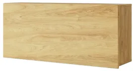 szafka-zamykana-wiszaca-nasciena-tf-12-27-cm