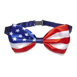 muszka-flaga-stany-zjednoczone-usa-ameryka-mucha