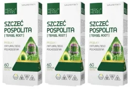 medica-herbs-szczec-pospolita-borelioza