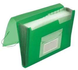 teczka-harmonijkowa-z-gumka-a4-12-przegrod-zielona