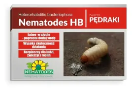 nematodes-hb-50-mln-nicienie-na-pedraki-na-100-m2-chrabaszcz-pchelka-ziemna